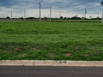 Terreno em Condomnio - Venda - Jd Aeroporto - Araatuba - SP