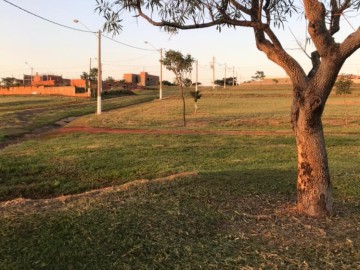 Terreno em Condomnio - Venda - Costa Azul - Araatuba - SP