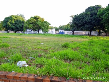 Terreno - Venda - Aviao - Araatuba - SP